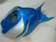Azul Plata Carenado Moto Honda CBR 1000 RR 2006-2007 Azul Plata Carenado Moto Honda CBR 1000 RR 2006-2007