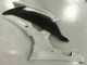 Blanco Carenados Moto Yamaha R6 2008-2016 Blanco Carenados Moto Yamaha R6 2008-2016