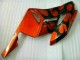 Naranja Negro Kit Carenado Moto Honda CBR 1000 RR 2004-2005 Naranja Negro Kit Carenado Moto Honda CBR 1000 RR 2004-2005