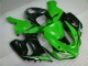 Verde Blanco Negro Carenado Moto Kawasaki ZX6R 2005-2006 Verde Blanco Negro Carenado Moto Kawasaki ZX6R 2005-2006