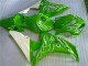Verde Carenado Moto Honda CBR 1000 RR 2006-2007 Verde Carenado Moto Honda CBR 1000 RR 2006-2007
