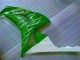 Verde Carenado Moto Honda CBR 1000 RR 2006-2007 Verde Carenado Moto Honda CBR 1000 RR 2006-2007
