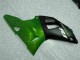 Verde Kit Carenado Moto Yamaha R1 2000-2001 Verde Kit Carenado Moto Yamaha R1 2000-2001