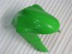 Verde Kits Completo Carenado Moto Kawasaki ZX6R 2005-2006 Verde Kits Completo Carenado Moto Kawasaki ZX6R 2005-2006
