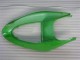 Verde Kits Completo Carenado Moto Kawasaki ZX6R 2005-2006 Verde Kits Completo Carenado Moto Kawasaki ZX6R 2005-2006