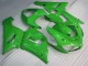 Verde Kits Completo Carenado Moto Kawasaki ZX6R 2005-2006 Verde Kits Completo Carenado Moto Kawasaki ZX6R 2005-2006