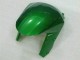 Verde Llama Carenado Moto Kawasaki ZX10R 2008-2010 Verde Llama Carenado Moto Kawasaki ZX10R 2008-2010