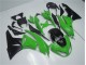 Verde Negro Kit Carenado ABS Completo Kawasaki ZX6R 2009-2012 Verde Negro Kit Carenado ABS Completo Kawasaki ZX6R 2009-2012