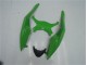 Verde Negro Kit Carenado ABS Completo Kawasaki ZX6R 2009-2012 Verde Negro Kit Carenado ABS Completo Kawasaki ZX6R 2009-2012