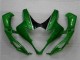 Verde Plástica Moto Suzuki GSXR 1000 K5 2005-2006 Verde Plástica Moto Suzuki GSXR 1000 K5 2005-2006