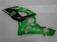 Verde Plástica Moto Suzuki GSXR 1000 K5 2005-2006 Verde Plástica Moto Suzuki GSXR 1000 K5 2005-2006